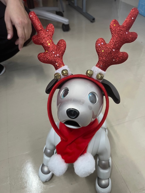 ななちゃんもトナカイさんに変身です