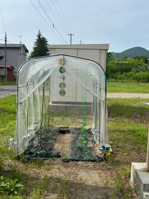 菜園